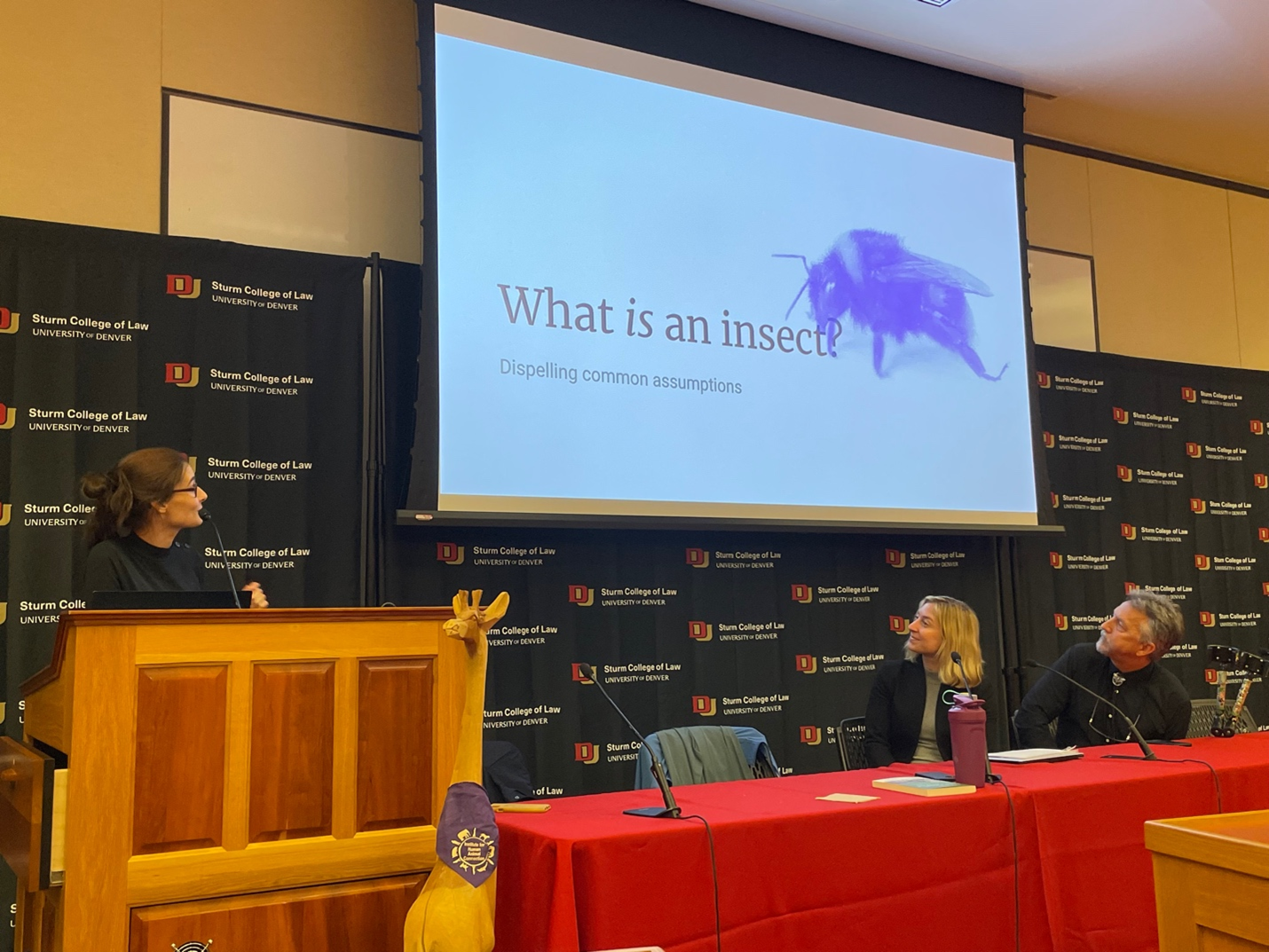 Event speakers viewing slide that reads What is an insect?