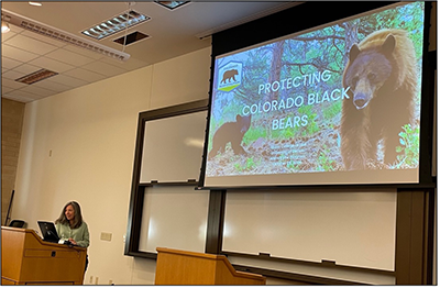 2024-10-29_Colorado-Bear-Coalition_400px.png speaker at podium in front of image of bears on screen