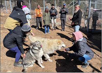 2025-03-16_WOLF-Sanctuary-Visit_400px.png group of people interacting with wolves outdoors
