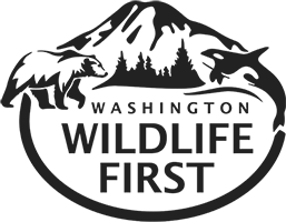 WWF_Logo_257x200.png Washington Wildlife First logo