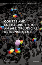 Courts & LGBTQ+ Rights book image Book image