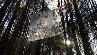 forest defense is self defense banner